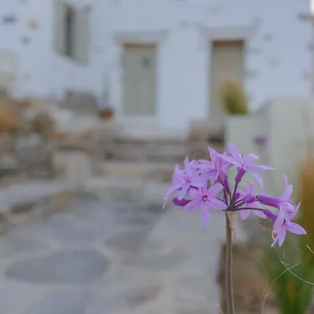 Aegean Breeze House Páros