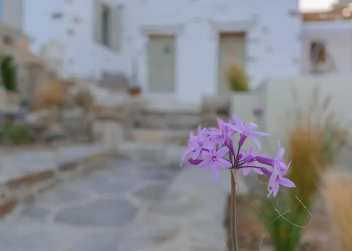 Aegean Breeze House Parikia (Paros)